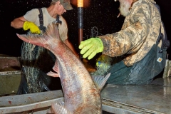 Asian-Carp-Fishing-McCracken-County-KY-2015-Bob-Hower