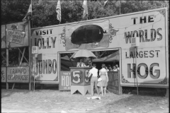 Marion-Post-Wolcott-Midway-and-carnival-at-Shelby-County-Fair-and-Horse-Show-Shelbyville-Kentucky-1940
