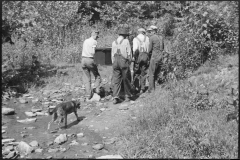 Marion-Post-Wolcott-Mountain-people-carrying-a-coffin-up-the-creek-bed-to-the-family-graveyard-where-it-will-be-buried-1940