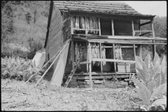 Marion-Post-Wolcott-Tobacco-hung-up-to-dry-on-porch-of-mountaineer's-cabin-Near-Jackson-Kentucky-1940