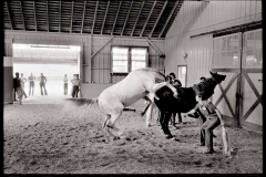 Breeding-Shed-Lexington-Fayette-County-1977-BB