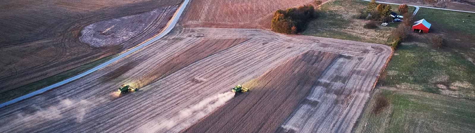 Near Russellville KY – Kemp Farms